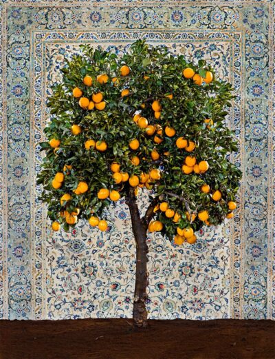 Tal Shochat Tal Shochat, Orange Tree with Persian Carpet, 2022, color print, 150x115 cm